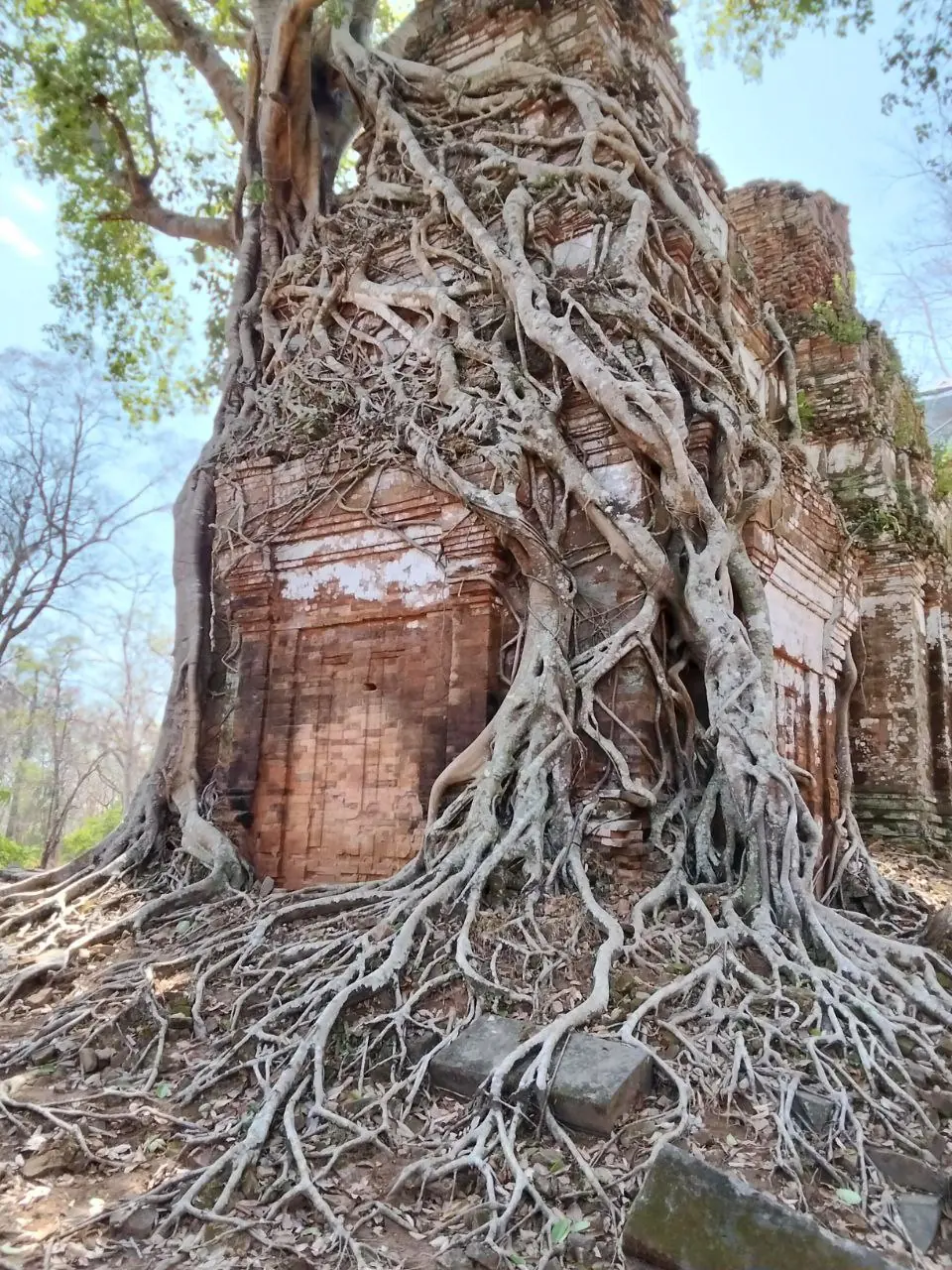 cambodia-angkor-trip-4